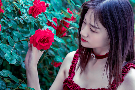 云南省昆明市政协党组书记、主席杨皕接受审查调查